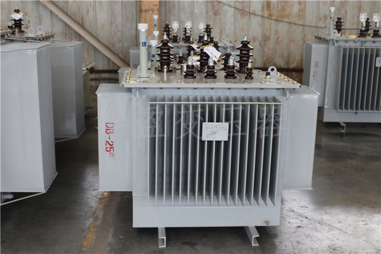 河南S20-800kVA/10kV/0.4kV变压器